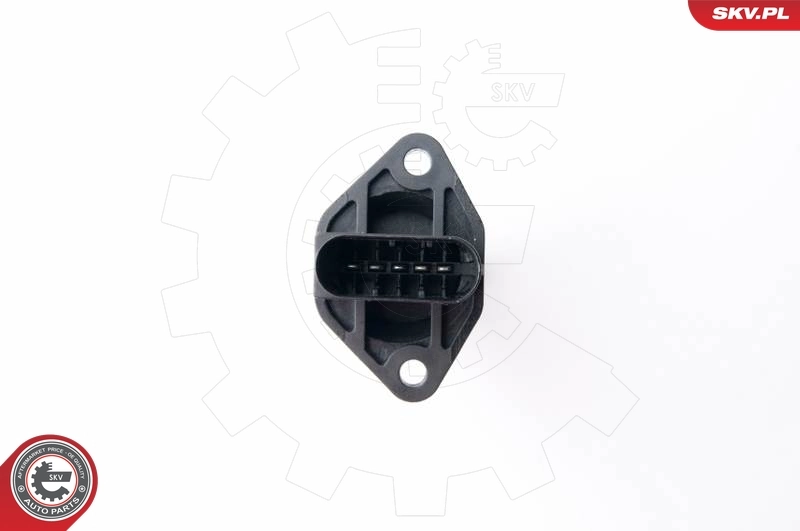 Mass Air Flow Sensor